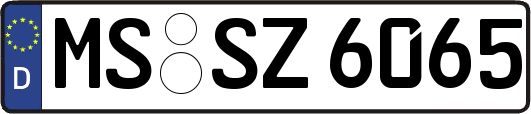 MS-SZ6065