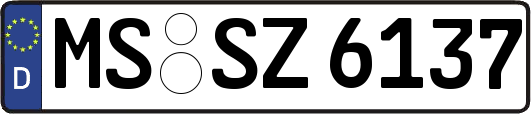 MS-SZ6137