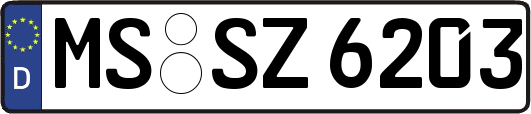 MS-SZ6203