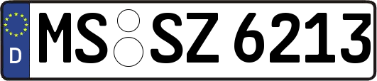 MS-SZ6213