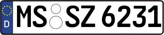 MS-SZ6231