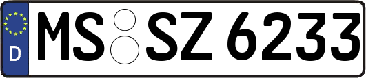 MS-SZ6233