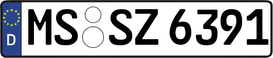MS-SZ6391