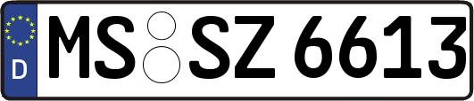 MS-SZ6613