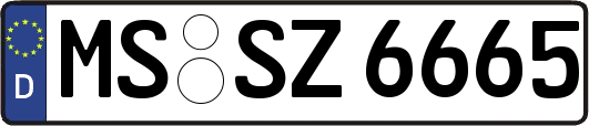 MS-SZ6665