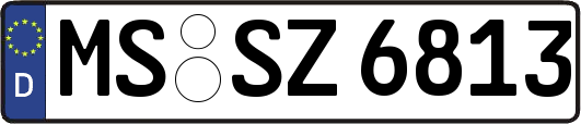 MS-SZ6813