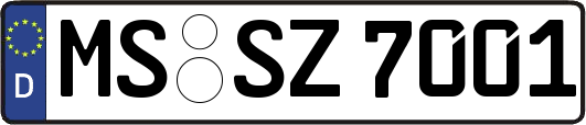 MS-SZ7001