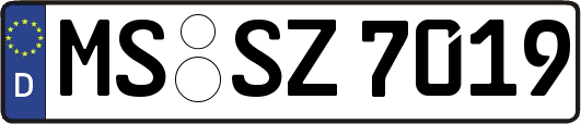 MS-SZ7019