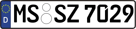MS-SZ7029