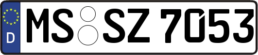 MS-SZ7053