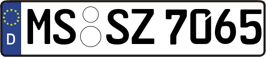 MS-SZ7065