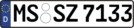 MS-SZ7133