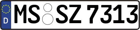 MS-SZ7313