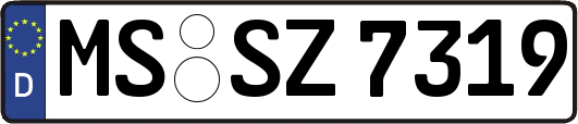 MS-SZ7319