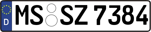 MS-SZ7384