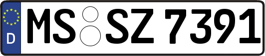 MS-SZ7391