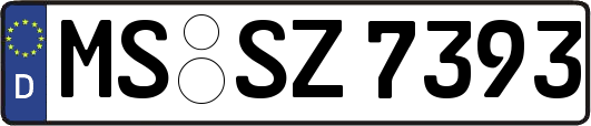 MS-SZ7393