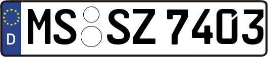 MS-SZ7403