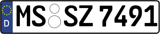 MS-SZ7491