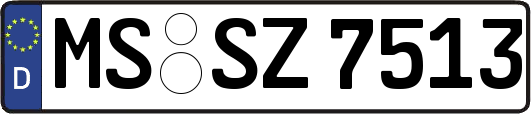 MS-SZ7513
