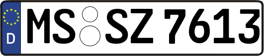 MS-SZ7613