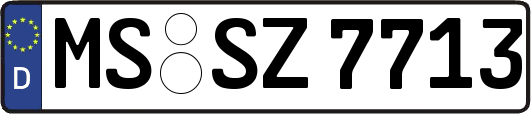 MS-SZ7713