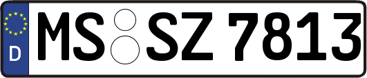 MS-SZ7813