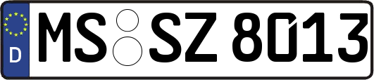 MS-SZ8013