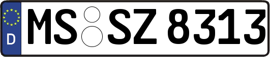 MS-SZ8313