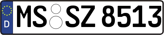 MS-SZ8513