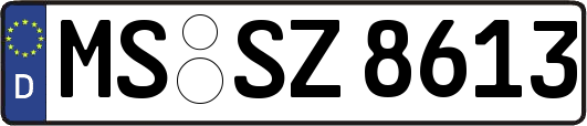 MS-SZ8613