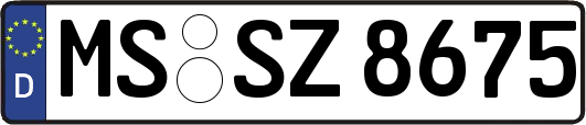 MS-SZ8675