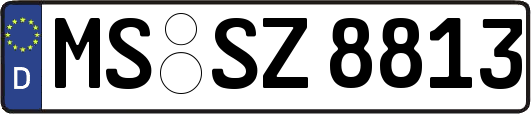 MS-SZ8813