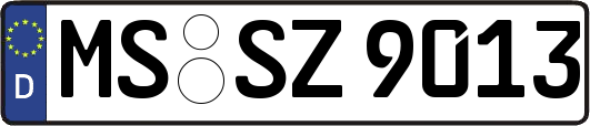 MS-SZ9013