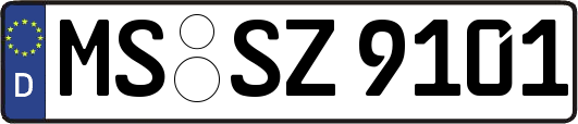 MS-SZ9101