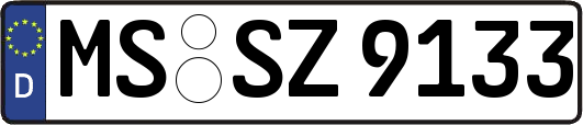 MS-SZ9133