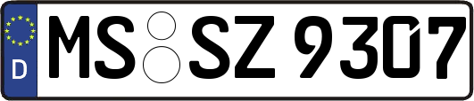 MS-SZ9307
