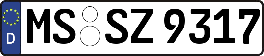 MS-SZ9317