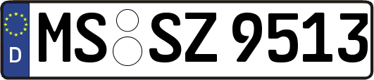 MS-SZ9513