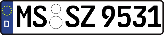 MS-SZ9531