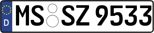 MS-SZ9533