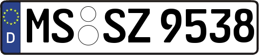 MS-SZ9538