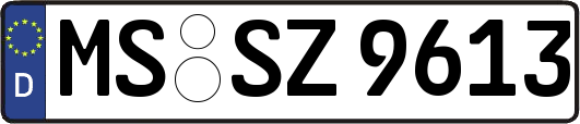 MS-SZ9613