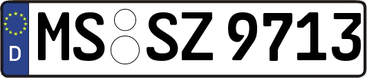 MS-SZ9713