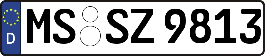 MS-SZ9813