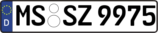 MS-SZ9975