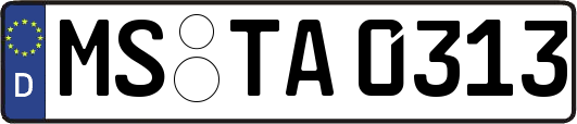 MS-TA0313