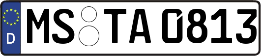 MS-TA0813