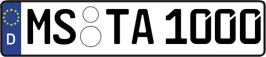 MS-TA1000