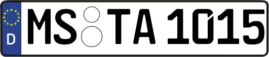 MS-TA1015